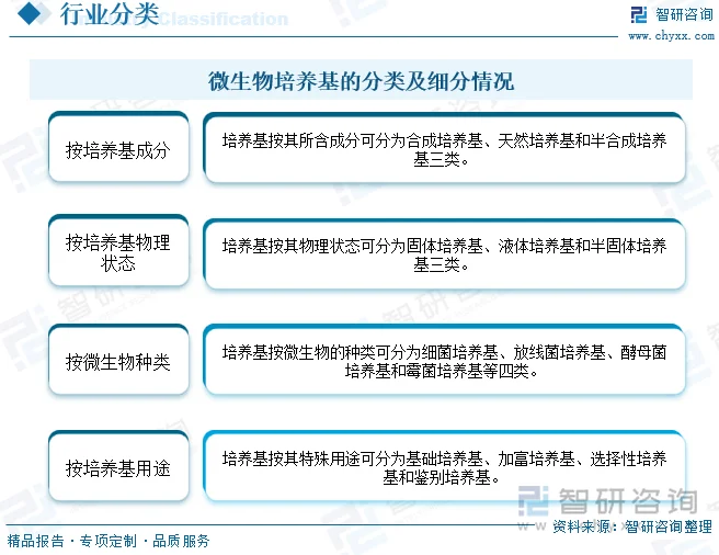 生物技术研发引领未来医疗创新